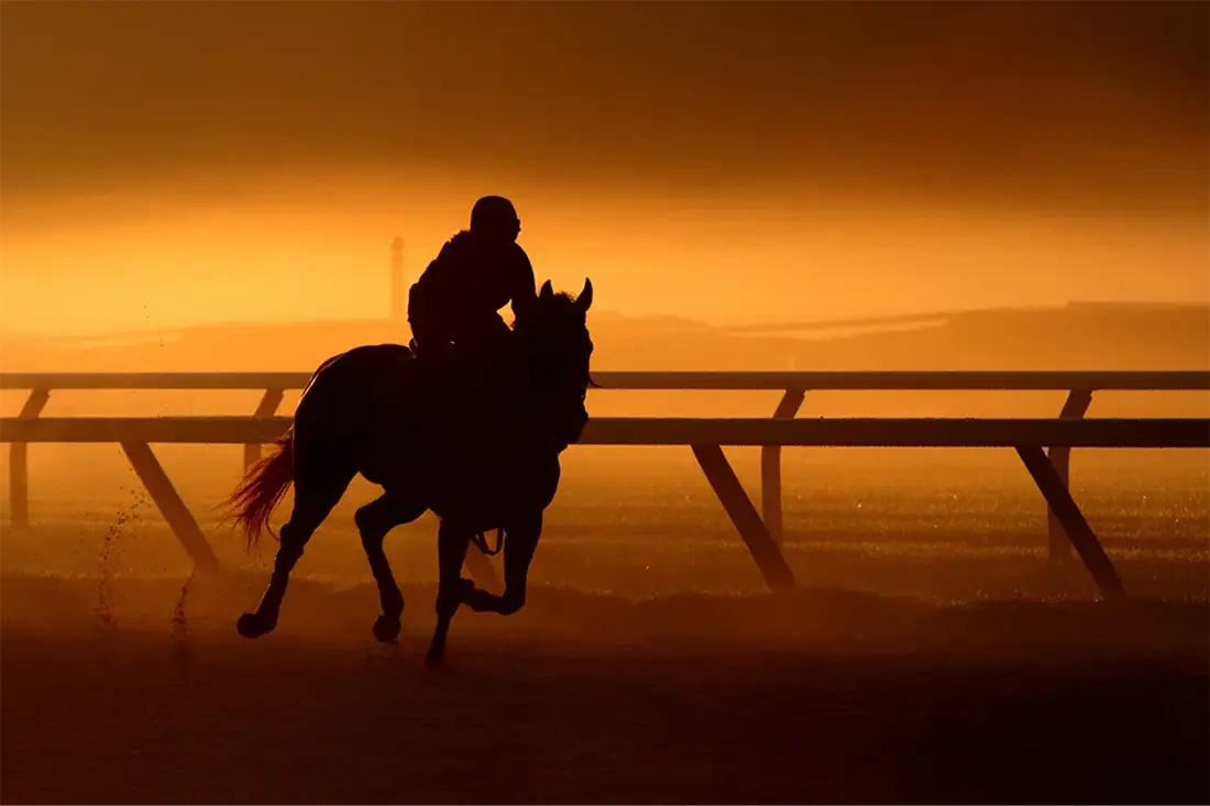 Equine Investments: A Growing Alternative Asset Class