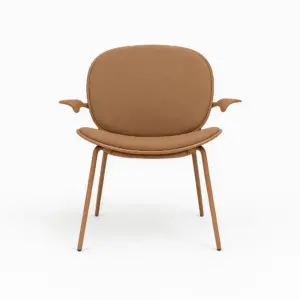 Armchair | D-030C - brown