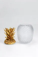 Deco Jar Pineapple Visible
