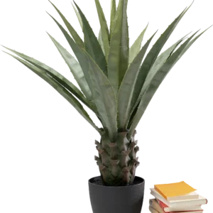 Deco Plant Agave 85cm