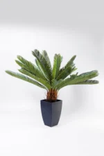 Deco Plant Cycas Tree 78cm