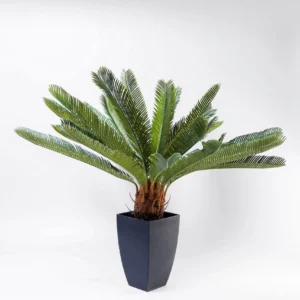 Deco Plant Cycas Tree 78cm