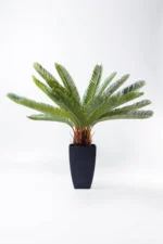 Deco Plant Cycas Tree 78cm