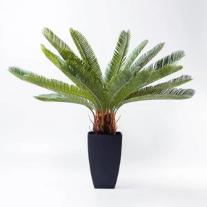 Deco Plant Cycas Tree 78cm
