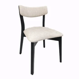 Dining chair | DCM-1040