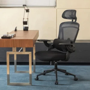 Office Chair | HLC-3789F