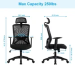 Office Chair | W-215C