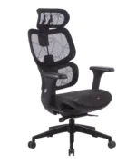Office Chair | W-228CG