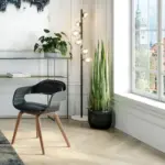 52508 Ambience